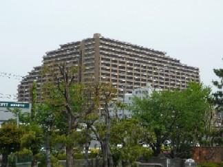 Local appearance photo. Local (10 May 2013) Shooting