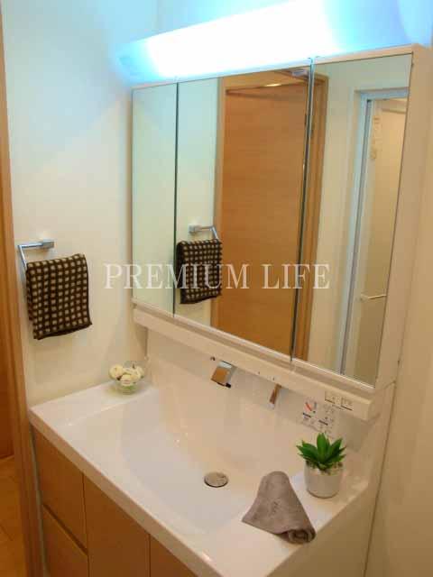 Wash basin, toilet. Vanity with hand shower.