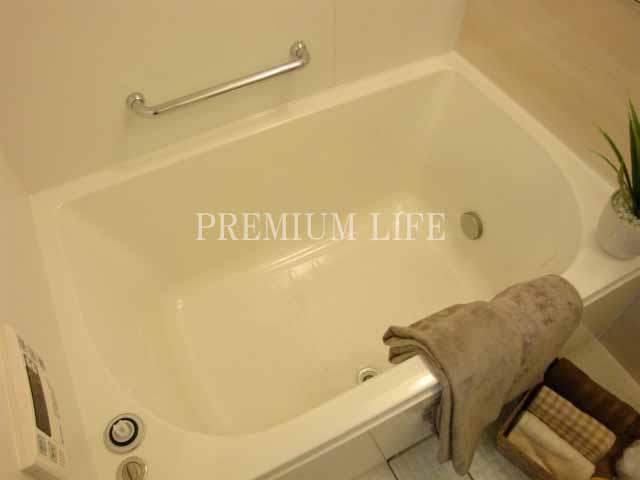 Living. Tub combination with add-fired function.