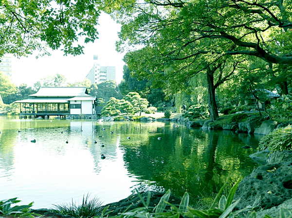 Surrounding environment. Fining garden (about 510m ・ 7-minute walk)