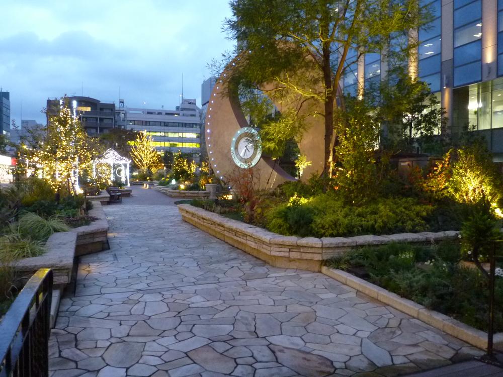 Other local. Gyazaria