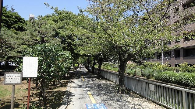 park. 861m to Sendai Hokawa park