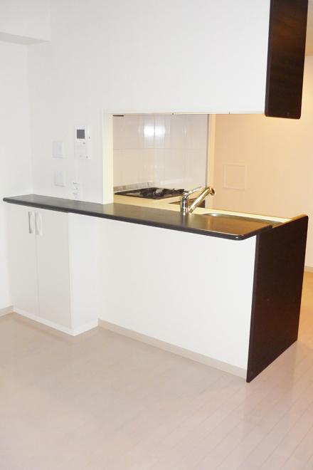 Kitchen. Popular counter kitchen adoption