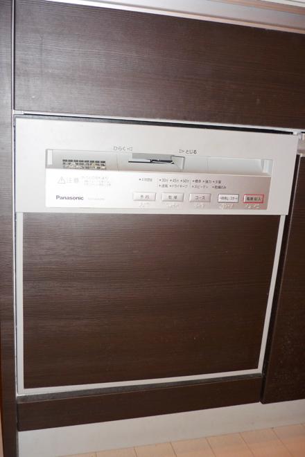 Other. With happy dishwasher in the kitchen