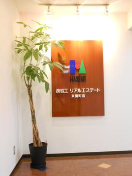 Other. State of the store entrance.