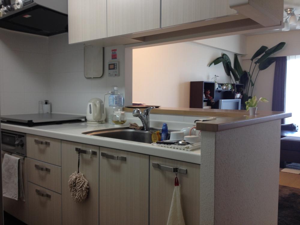 Living. Indoor (12 May 2013) Shooting