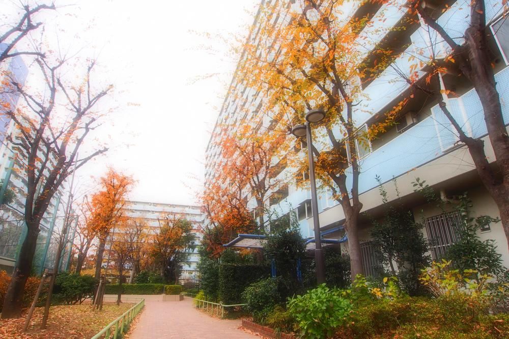 Local appearance photo. Local (12 May 2013) Shooting