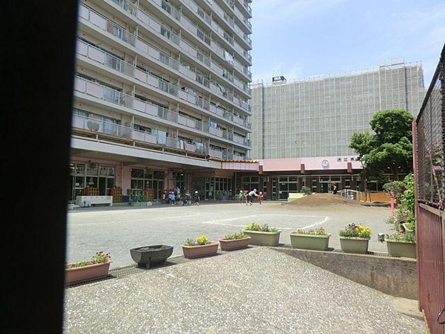 Other. Swallow kindergarten