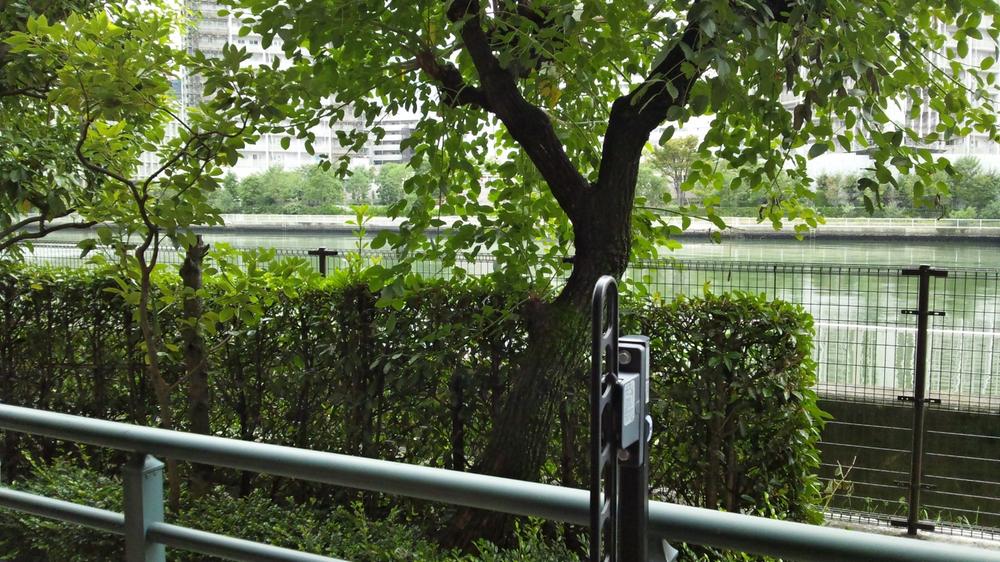 View photos from the dwelling unit. View from the site (October 2013) Shooting. It will spread Toyosu canal on the balcony of the previous.