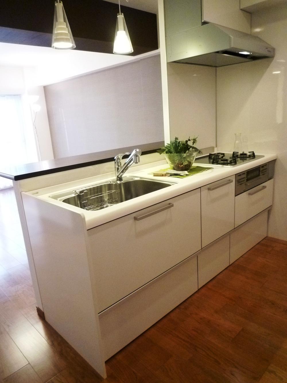 Kitchen. Indoor (11 May 2013) Shooting