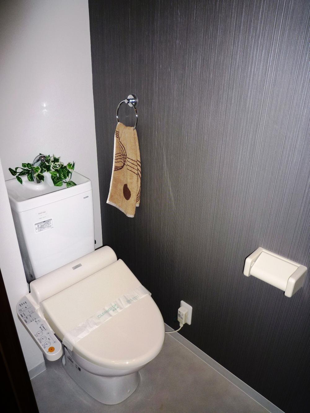 Toilet. Indoor (11 May 2013) Shooting