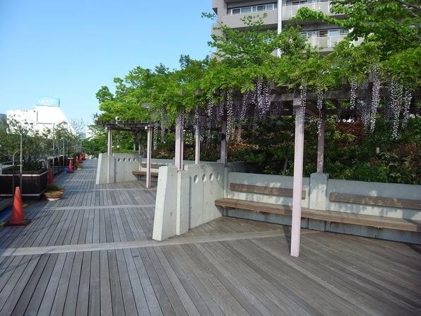 Other common areas. Common areas