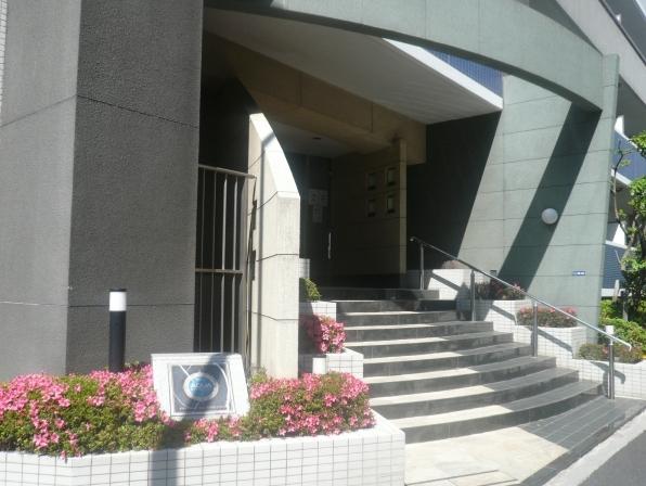 Entrance. Common areas