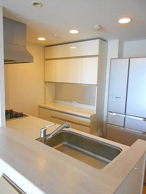 Kitchen. Counter Kitchen adoption. With disposer