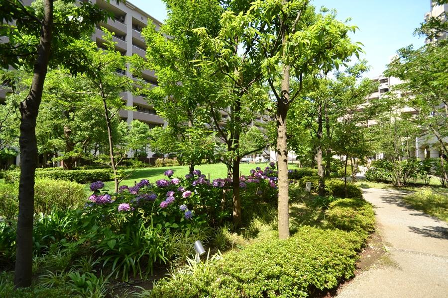 Other common areas. On-site green space