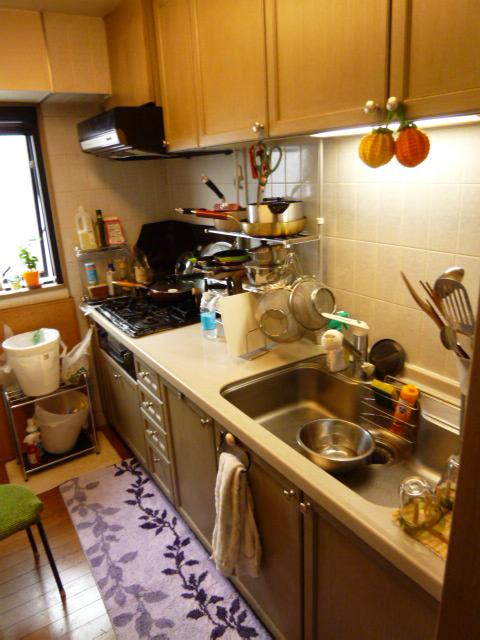 Kitchen. Indoor (11 May 2013) Shooting