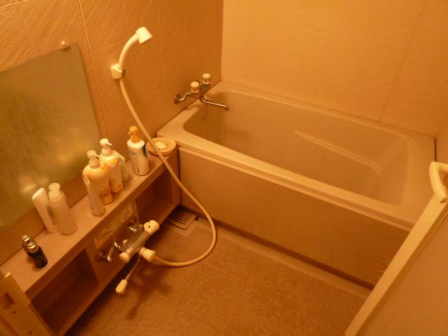 Bathroom. Indoor (11 May 2013) Shooting