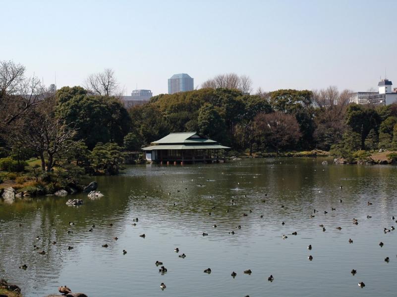 park. One of the scenic spot designated 200m Tokyo until a clear garden. Quaint elegant garden is healed heart.