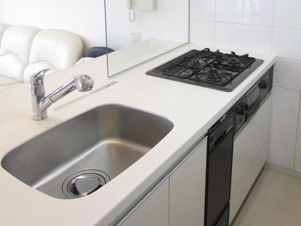 Kitchen. Functional system Kitchen. With dishwasher!