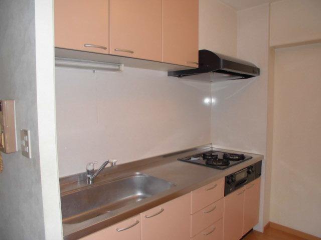 Kitchen. Indoor (September 2013) Shooting