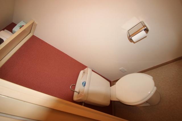 Toilet. Room (August 2013) Shooting