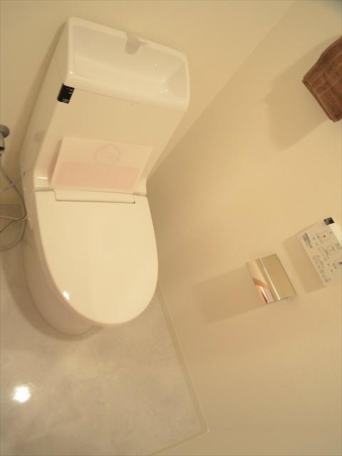 Toilet. Shower toilet