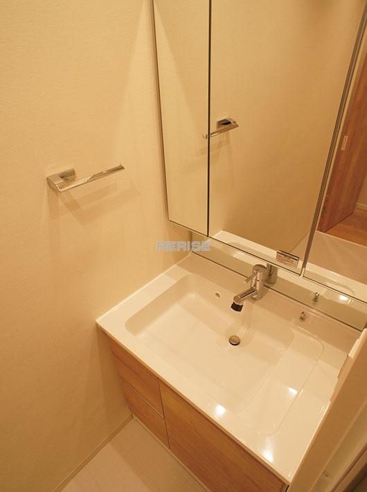 Wash basin, toilet. Vanity with a shower head