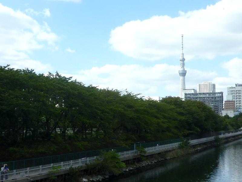 Other Environmental Photo. 250m until Motomura Bridge Green and Tokyo Sky Tree of hope from Motomura bridge over the horizontal Jitsuken River Sarue Imperial Park