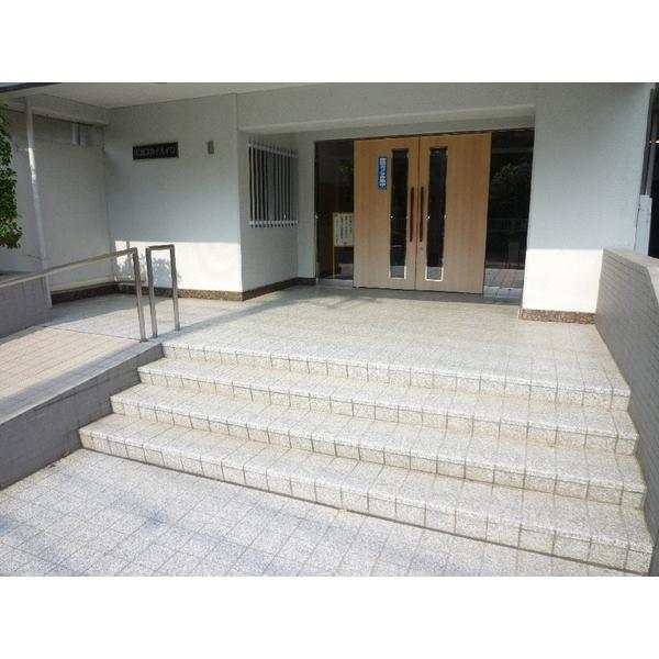 Other introspection. Entrance