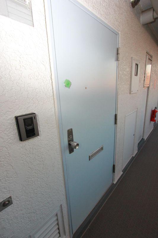 Other introspection. Entrance door