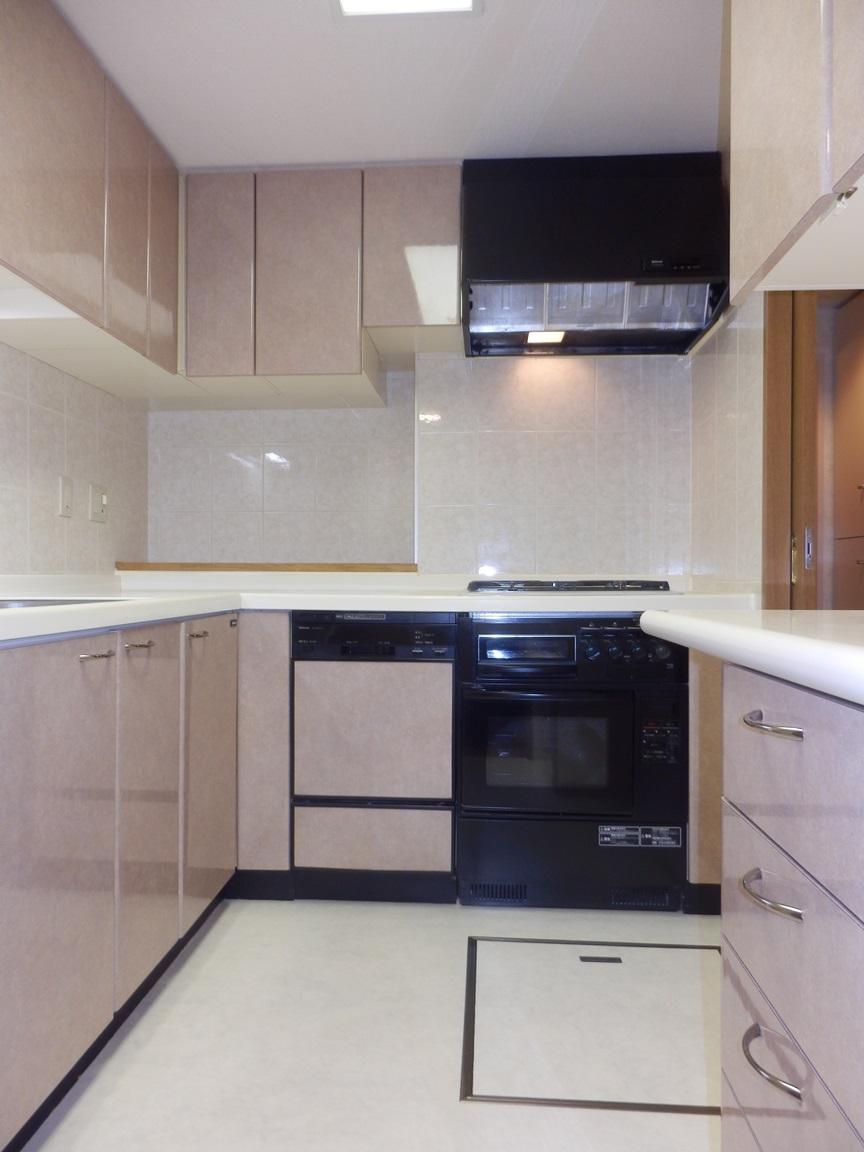 Kitchen. Indoor (12 May 2013) Shooting