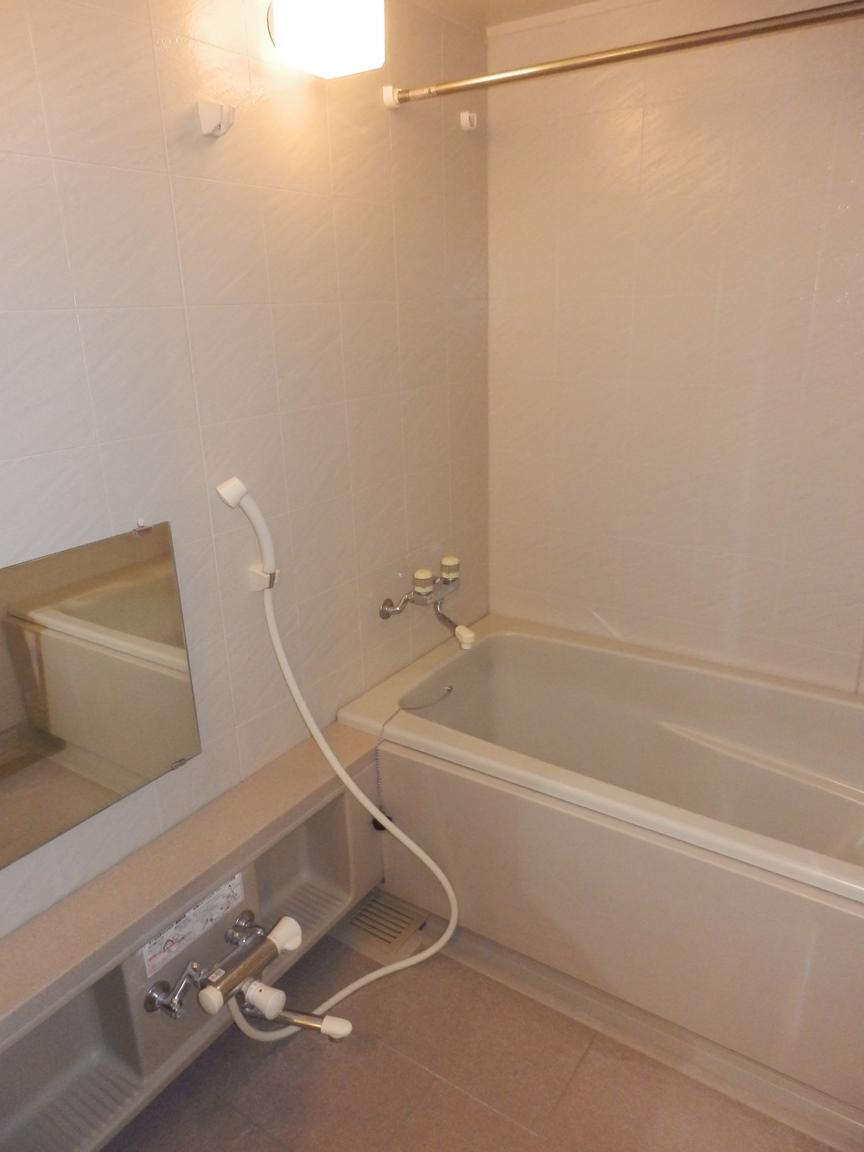 Bathroom. Indoor (12 May 2013) Shooting