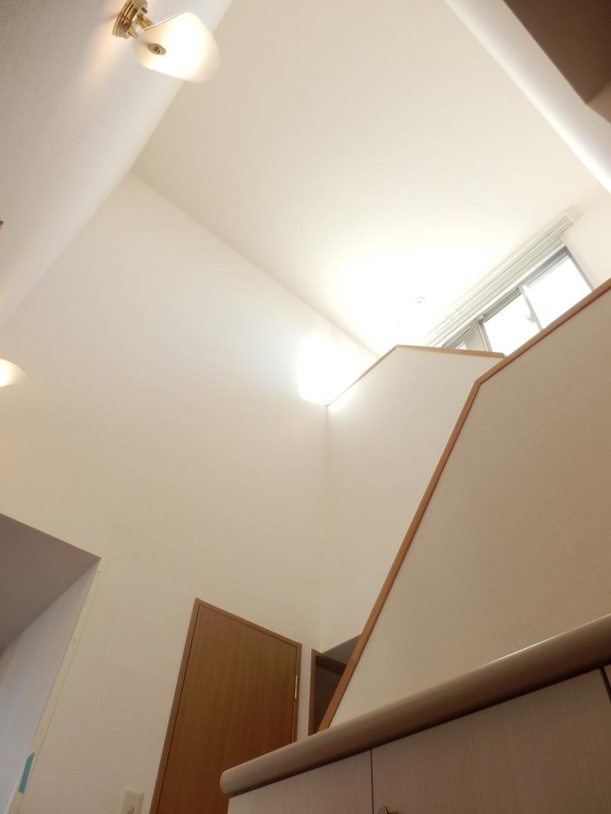 Other. Atrium ceiling (12 May 2013) shooting from the front door