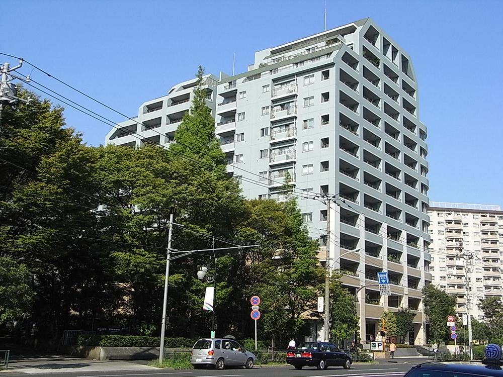 Local appearance photo. Local (11 May 2013) Shooting