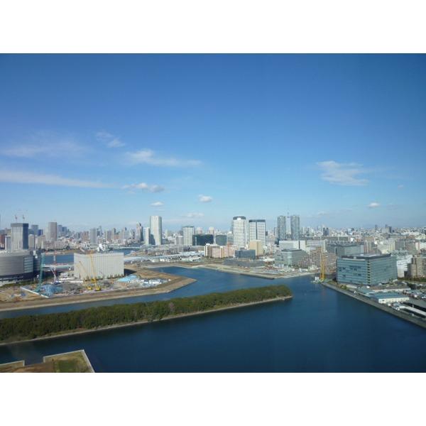 Other introspection. Sky tree side view