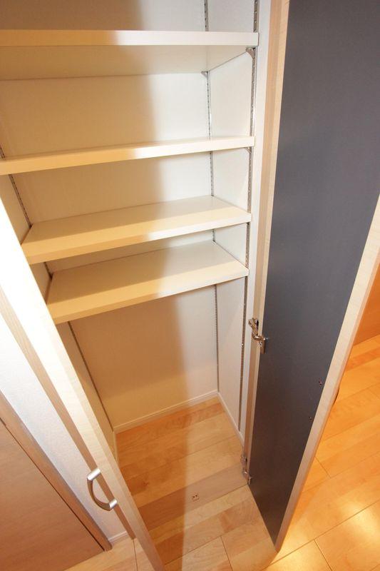 Other introspection. Receipt