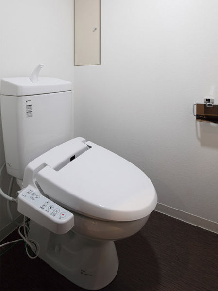 Bathing-wash room. Toilet