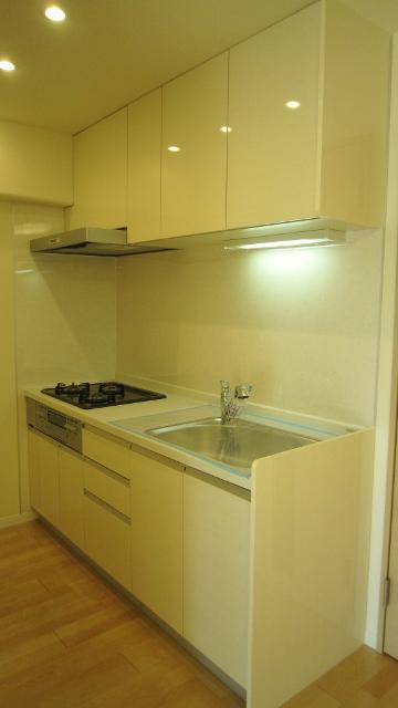 Kitchen. New Renovation