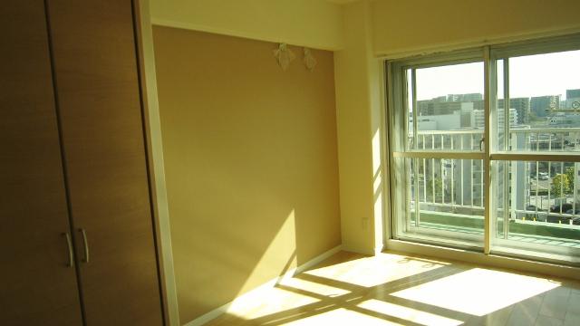 Other introspection. New Renovation