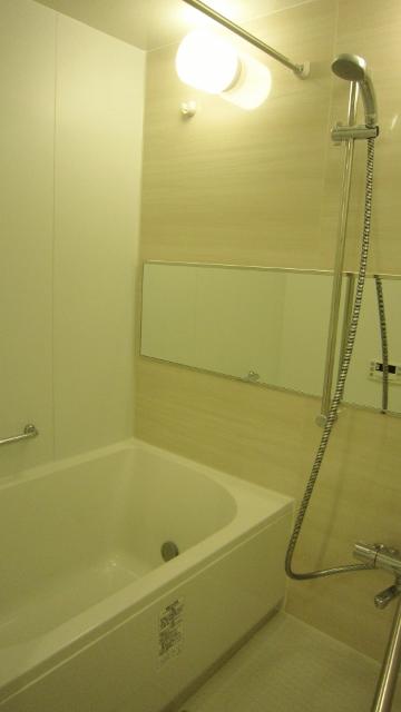 Bathroom. New Renovation