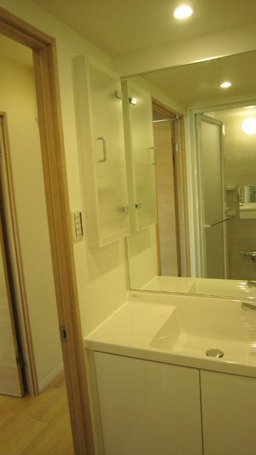 Wash basin, toilet. New Renovation