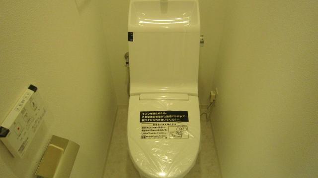 Toilet. New Renovation