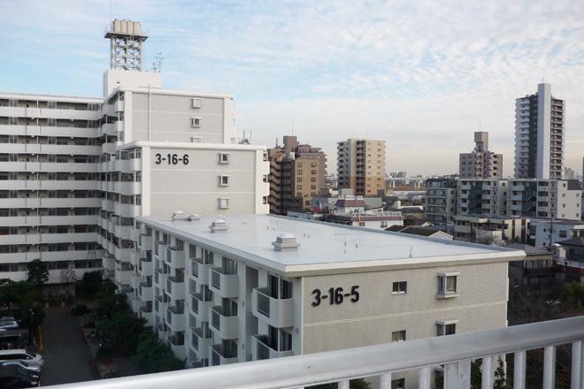 Other. Also open view