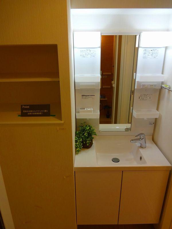 Wash basin, toilet. Bathroom vanity