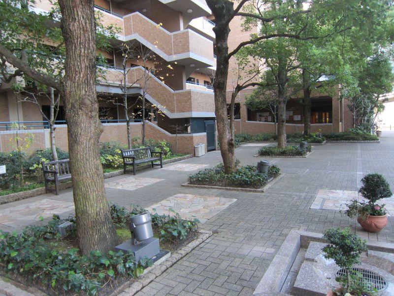 Other local. Green courtyard.