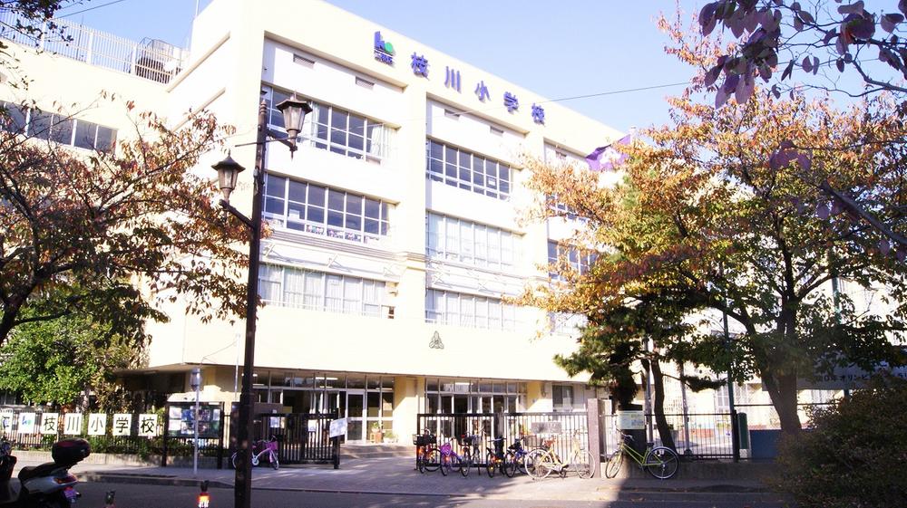 Primary school. Edagawa until elementary school 450m