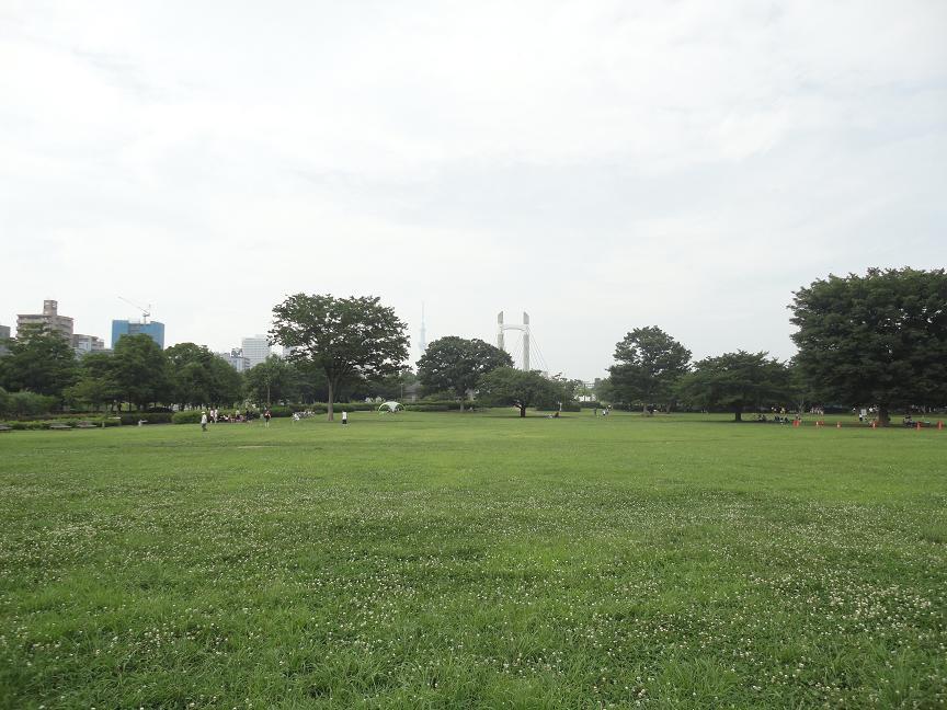 Other. About 100m of the Kiba park from local (1)