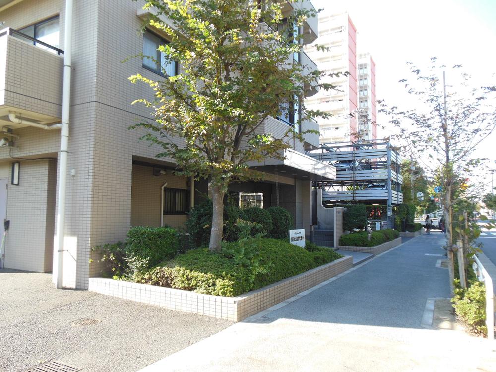 Other local. Front sidewalk