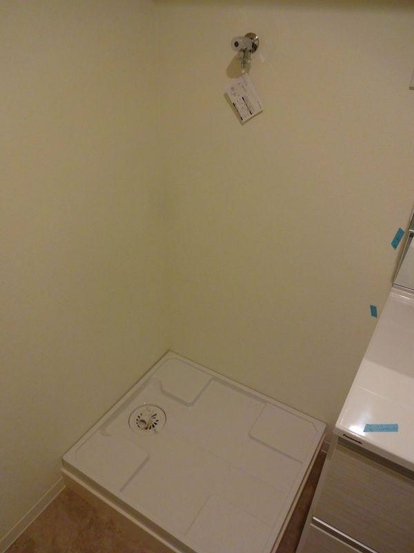 Other introspection. Washing machine Storage