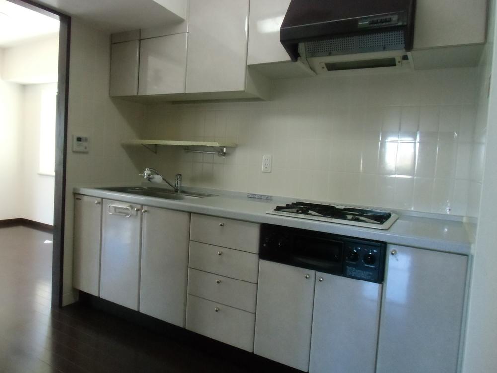 Kitchen. Indoor (September 2013) Shooting